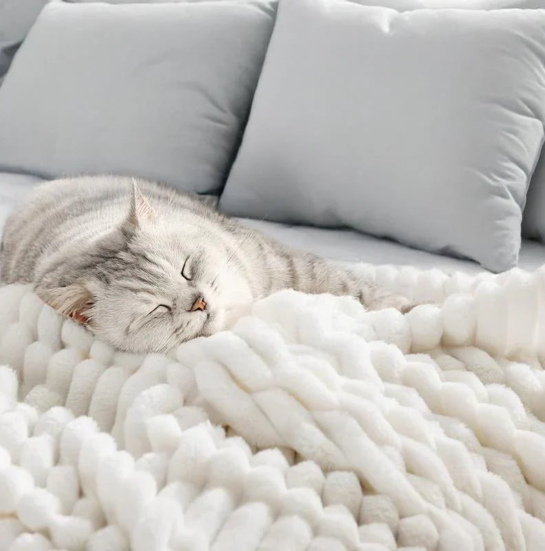The Cloud Blanket